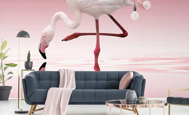 Fototapete Vögel Flamingo