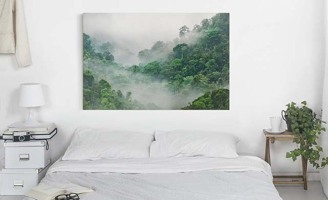 Leinwandbild Dschungel Nebel