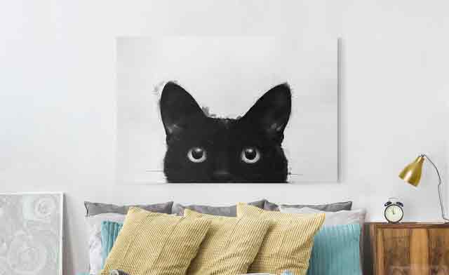 Leinwandbild schwarze Katze